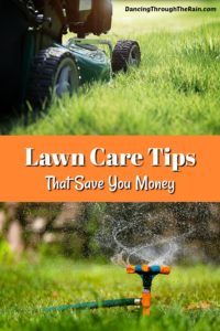 Lawn Care Tips To Help Save Money